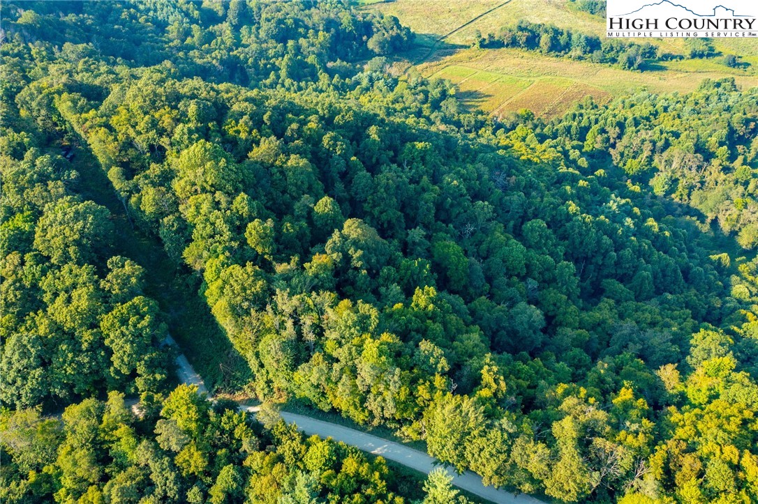 Omega Way Sparta, NC 28675 - Photo 40 of 48