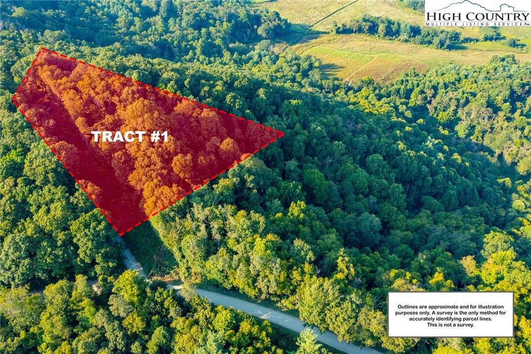 Omega Way Sparta, NC 28675 - Photo 4 of 48