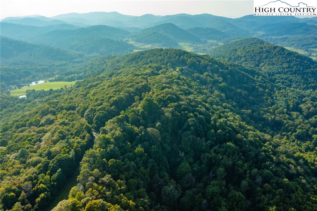 Omega Way Sparta, NC 28675 - Photo 41 of 48