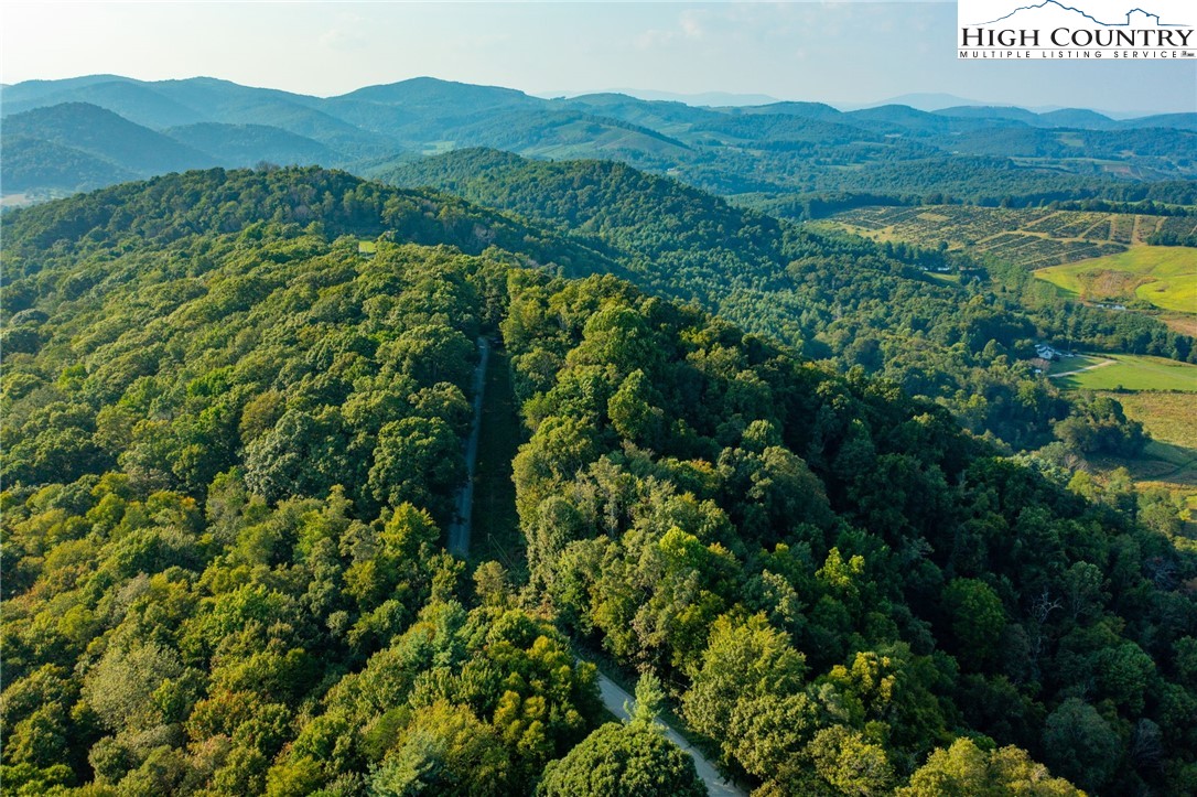 Omega Way Sparta, NC 28675 - Photo 42 of 48