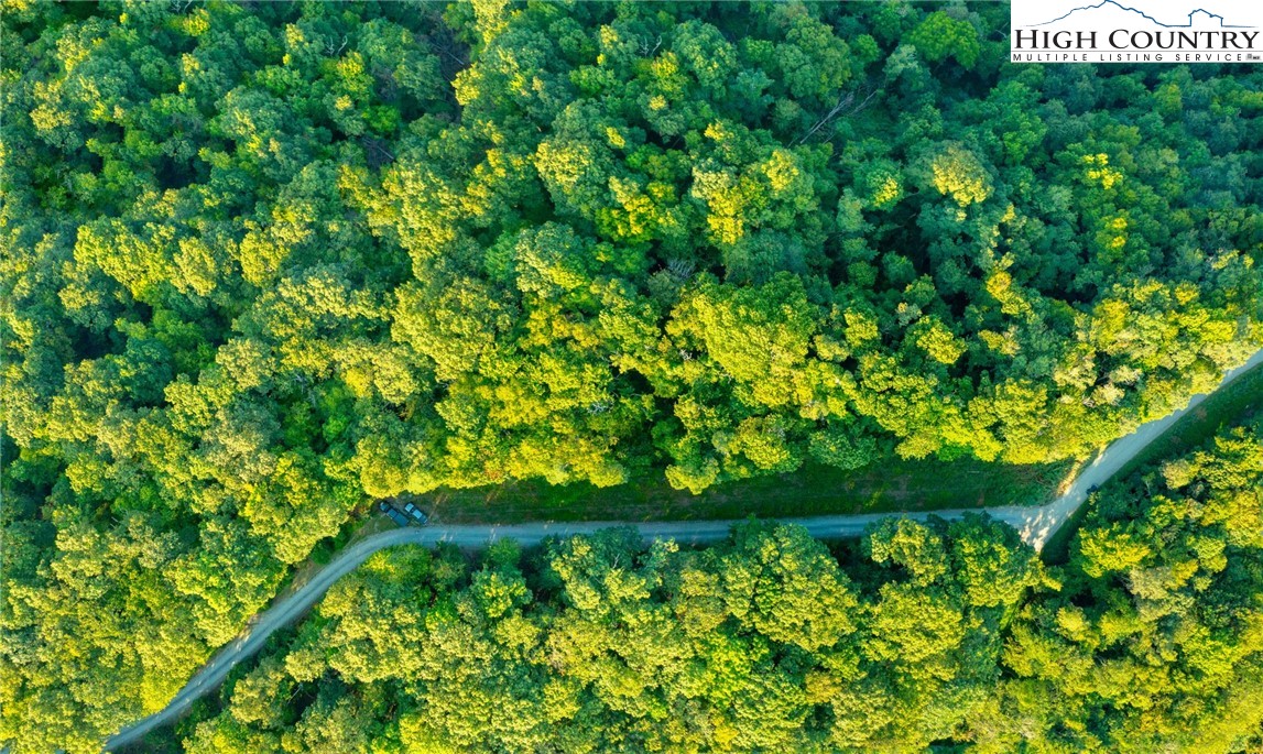 Omega Way Sparta, NC 28675 - Photo 45 of 48