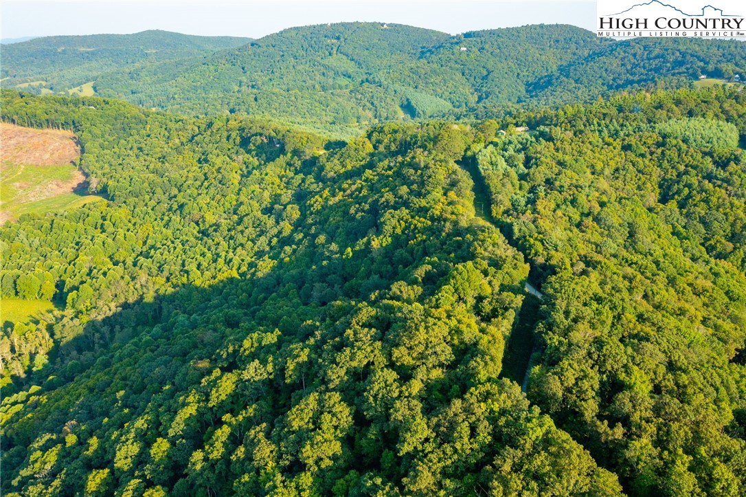 Omega Way Sparta, NC 28675 - Photo 46 of 48