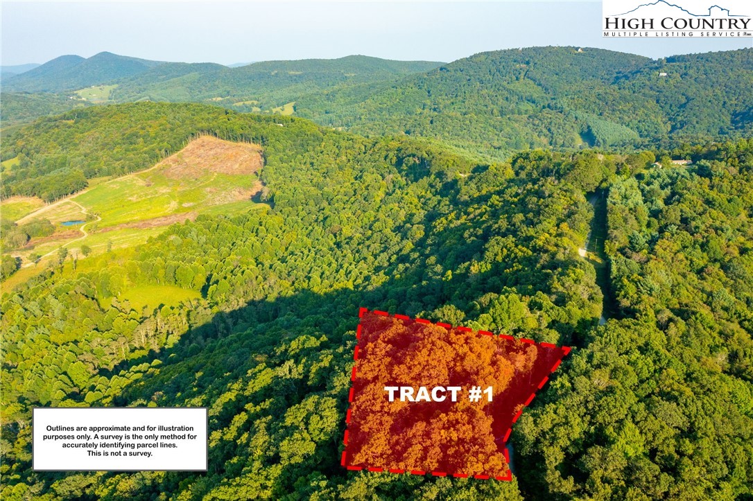 Omega Way Sparta, NC 28675 - Photo 47 of 48