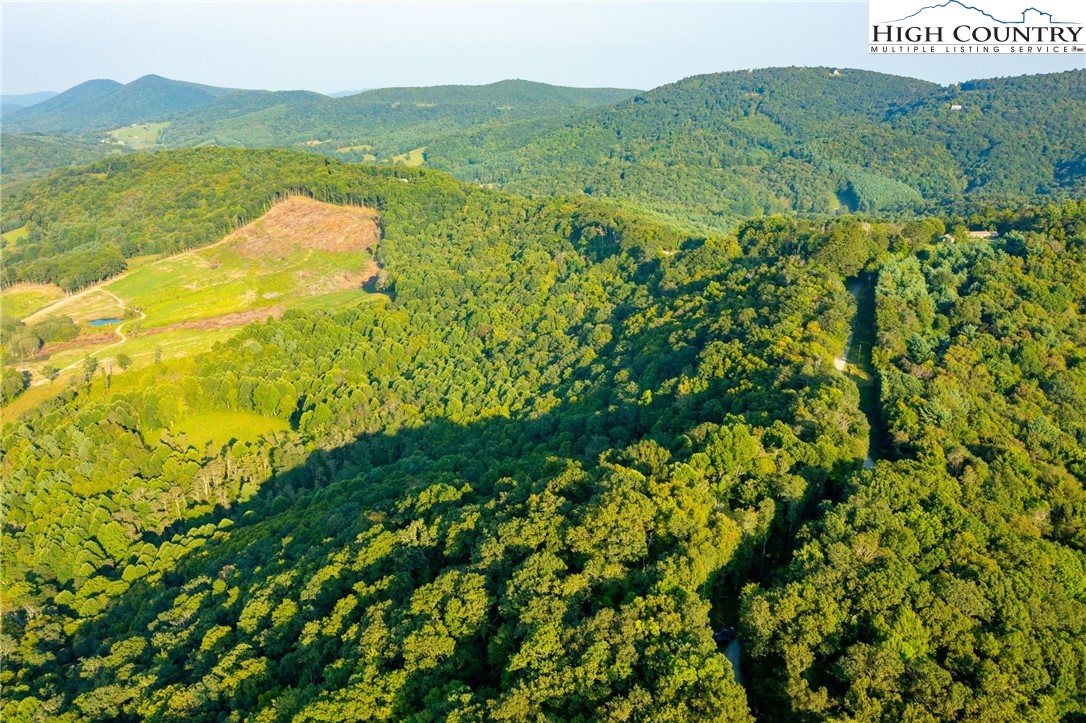 Omega Way Sparta, NC 28675 - Photo 48 of 48