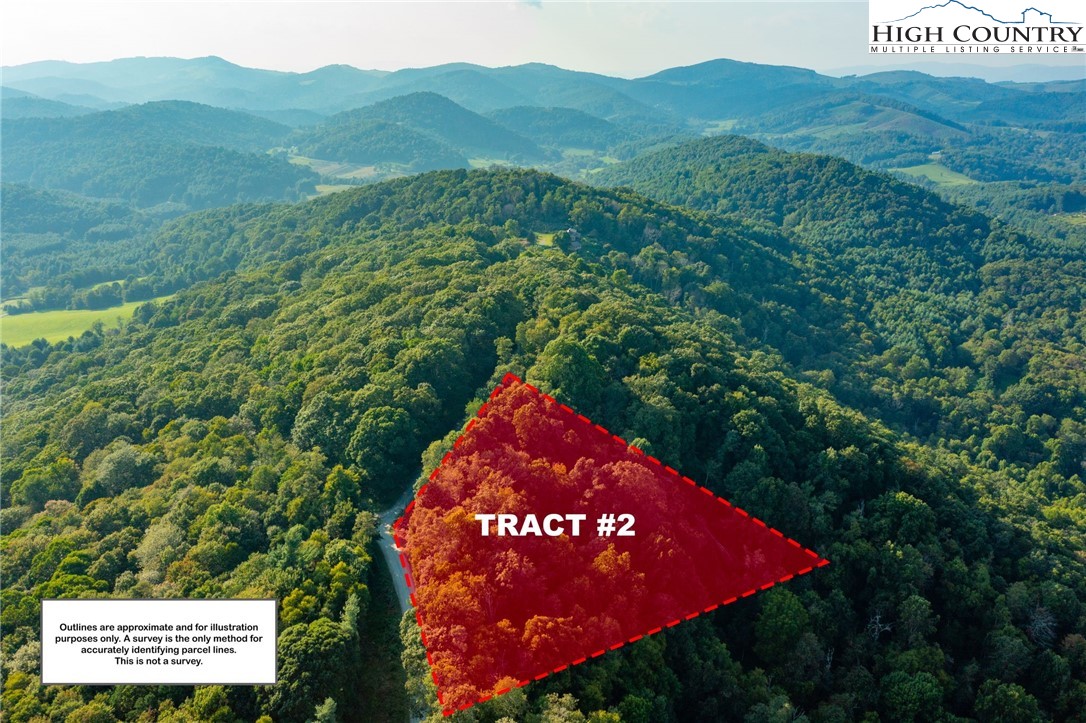 Omega Way Sparta, NC 28675 - Photo 5 of 48