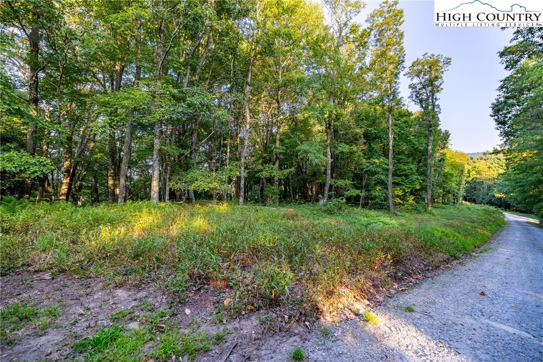 Omega Way Sparta, NC 28675 - Photo 6 of 48