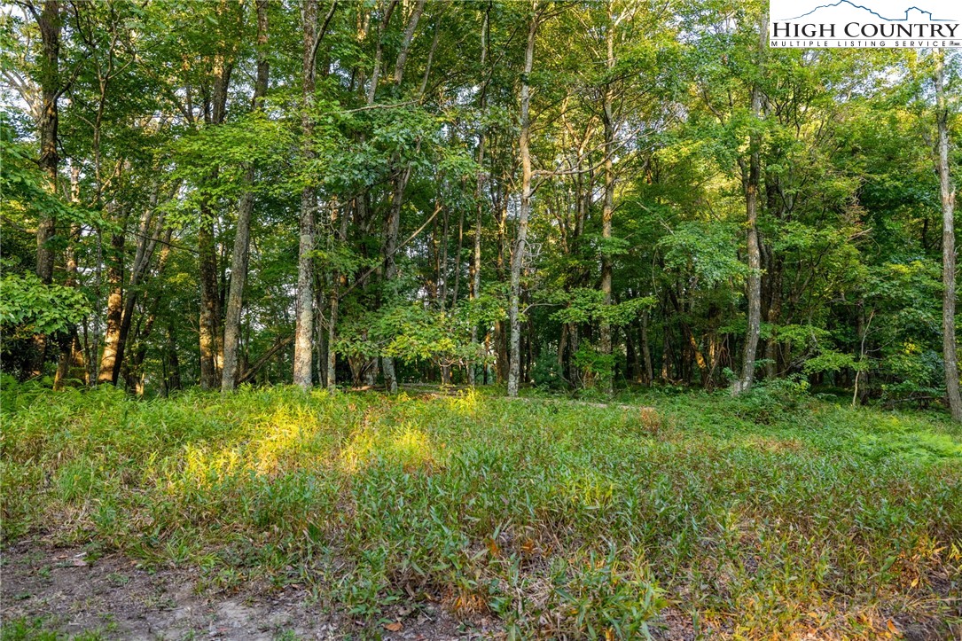 Omega Way Sparta, NC 28675 - Photo 7 of 48