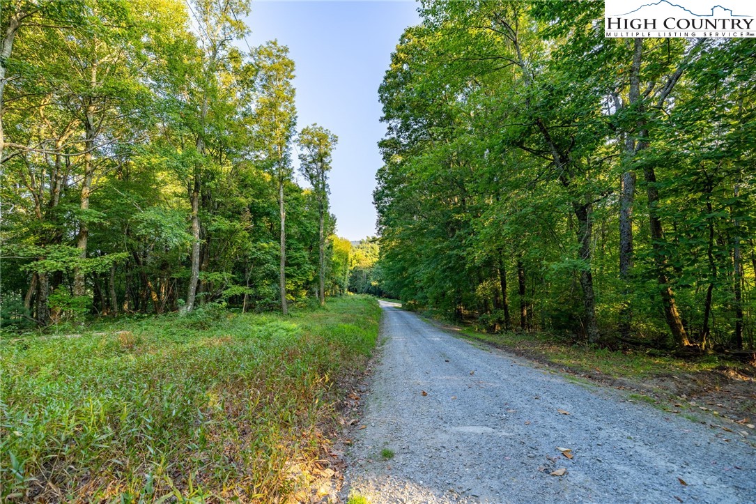 Omega Way Sparta, NC 28675 - Photo 8 of 48