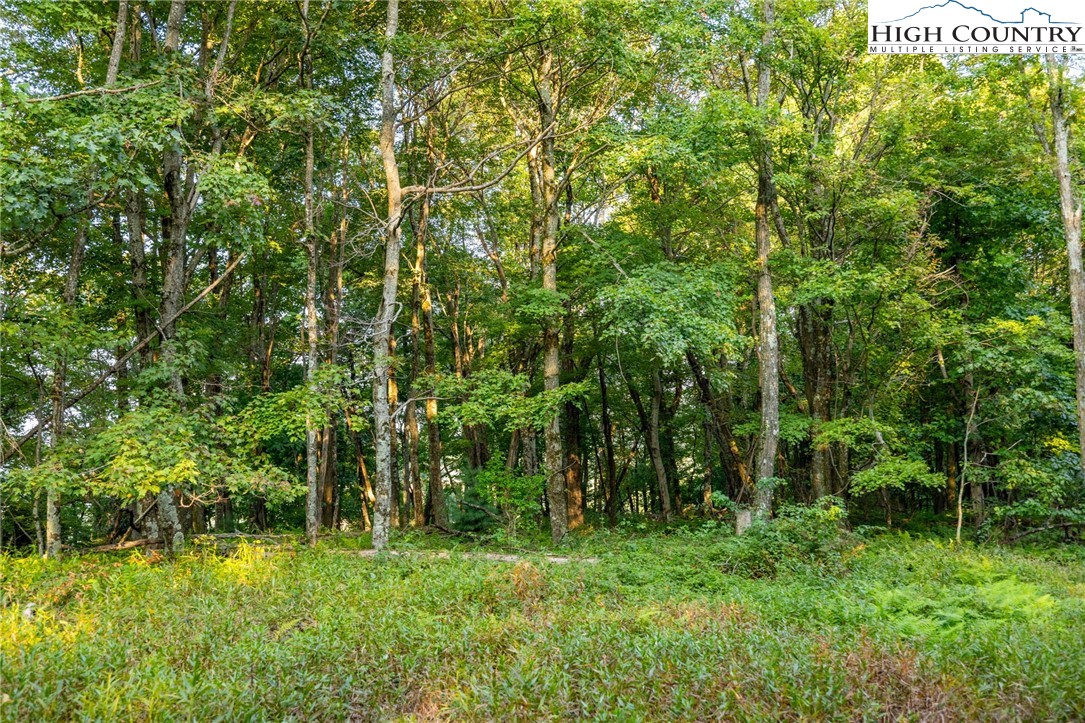 Omega Way Sparta, NC 28675 - Photo 9 of 48