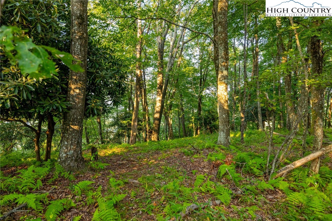 Omega Way Sparta, NC 28675 - Photo 10 of 48