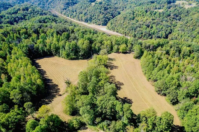 a view of a garden with a pathway