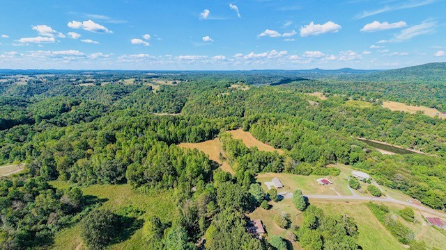 0 Bolestown Loop Alpine, TN 38543 - Photo 13 of 18 a view of a yard with a yard
