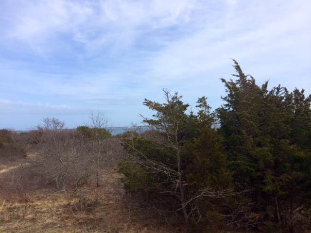 29 North Neck Road Edgartown, MA 02539 - Photo 4 of 4