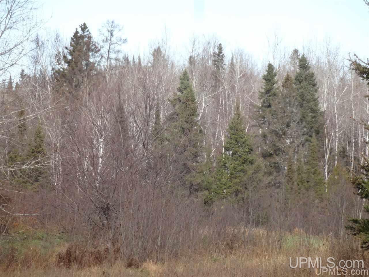Tbd Premo Dam Road, Unit 14 Crystal Falls, MI 49920 - Photo 3 of 4 Gallery Image 3
