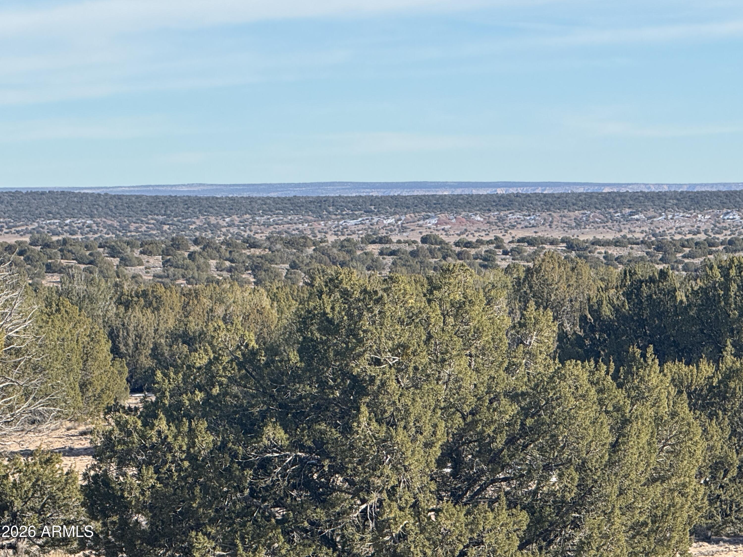 Lot 198 Red Sky Ranch, Unit 198 St. Johns, AZ 85936 - Photo 10 of 20 IMG_0372
