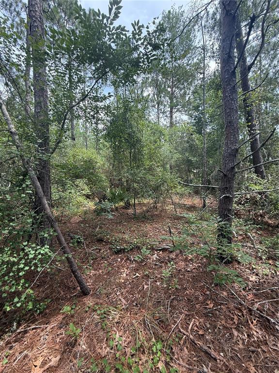 Southwest 38th Circle Ocala, FL 34473 - Photo 1 of 1
