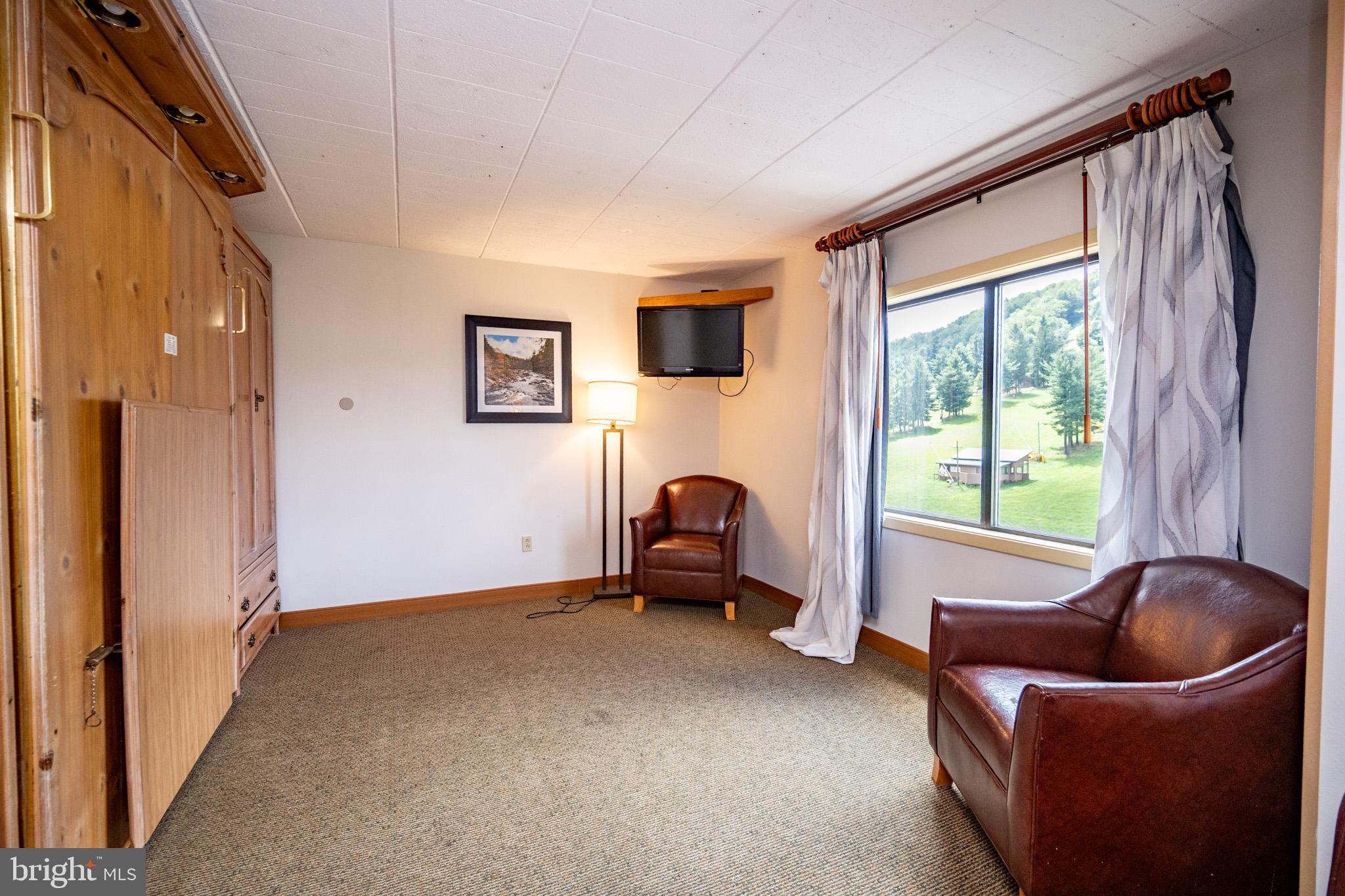 290 Marsh Hill Road, Unit 702K McHenry, MD 21541 - Photo 11 of 45 a living room with furniture and a window