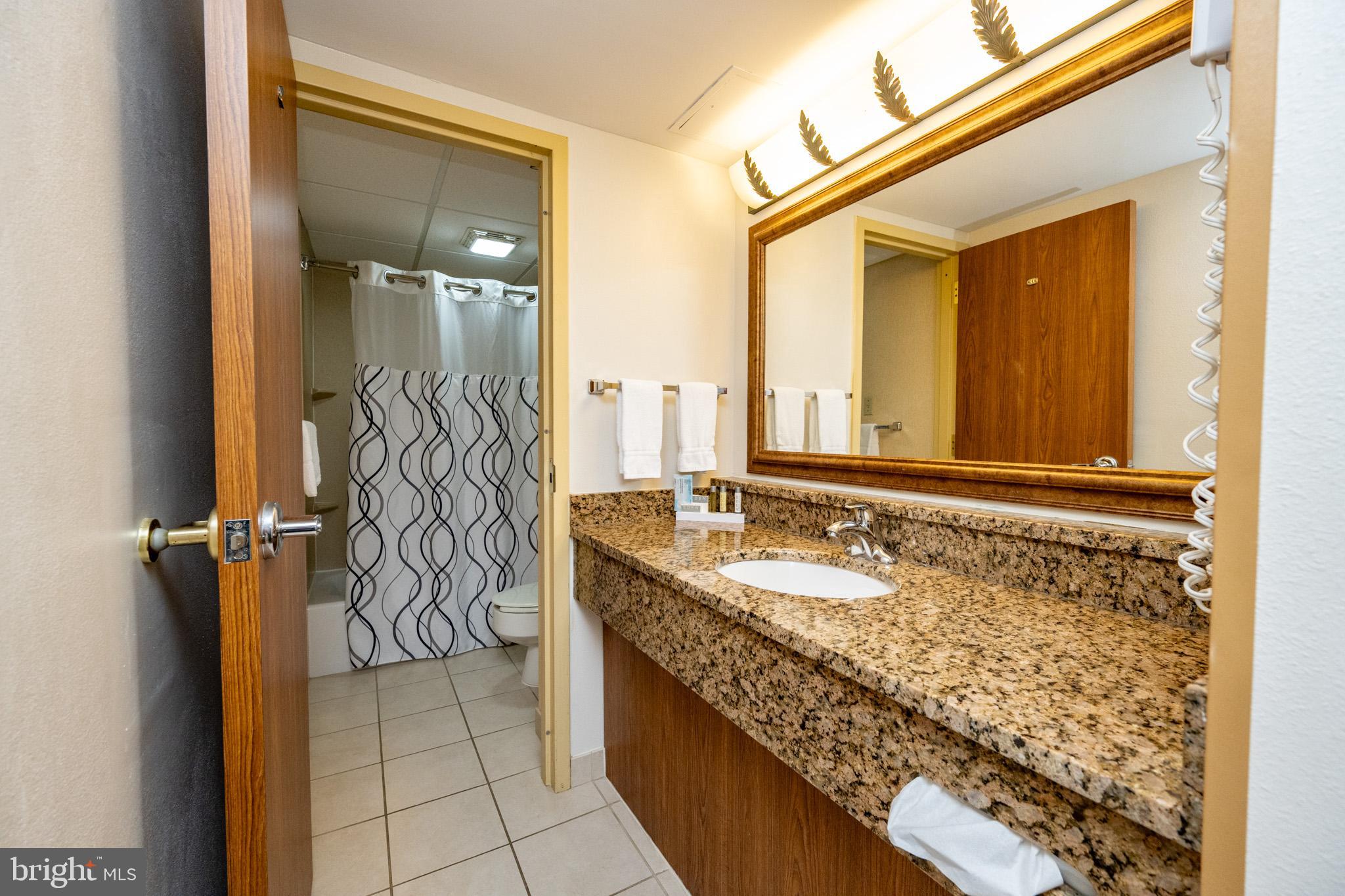 290 Marsh Hill Road, Unit 702K McHenry, MD 21541 - Photo 16 of 45 a bathroom with a granite countertop sink and a mirror