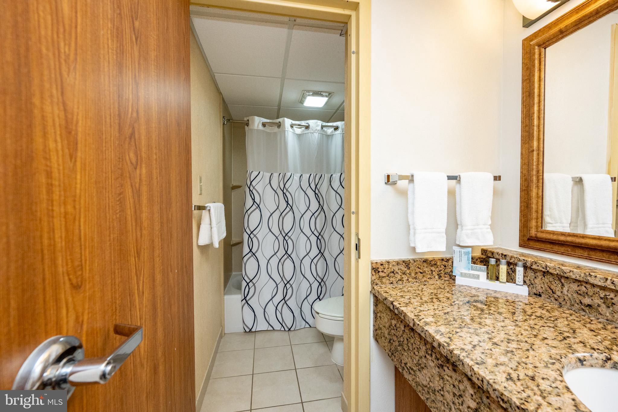 290 Marsh Hill Road, Unit 702K McHenry, MD 21541 - Photo 17 of 45 a bathroom with a granite countertop sink and a mirror