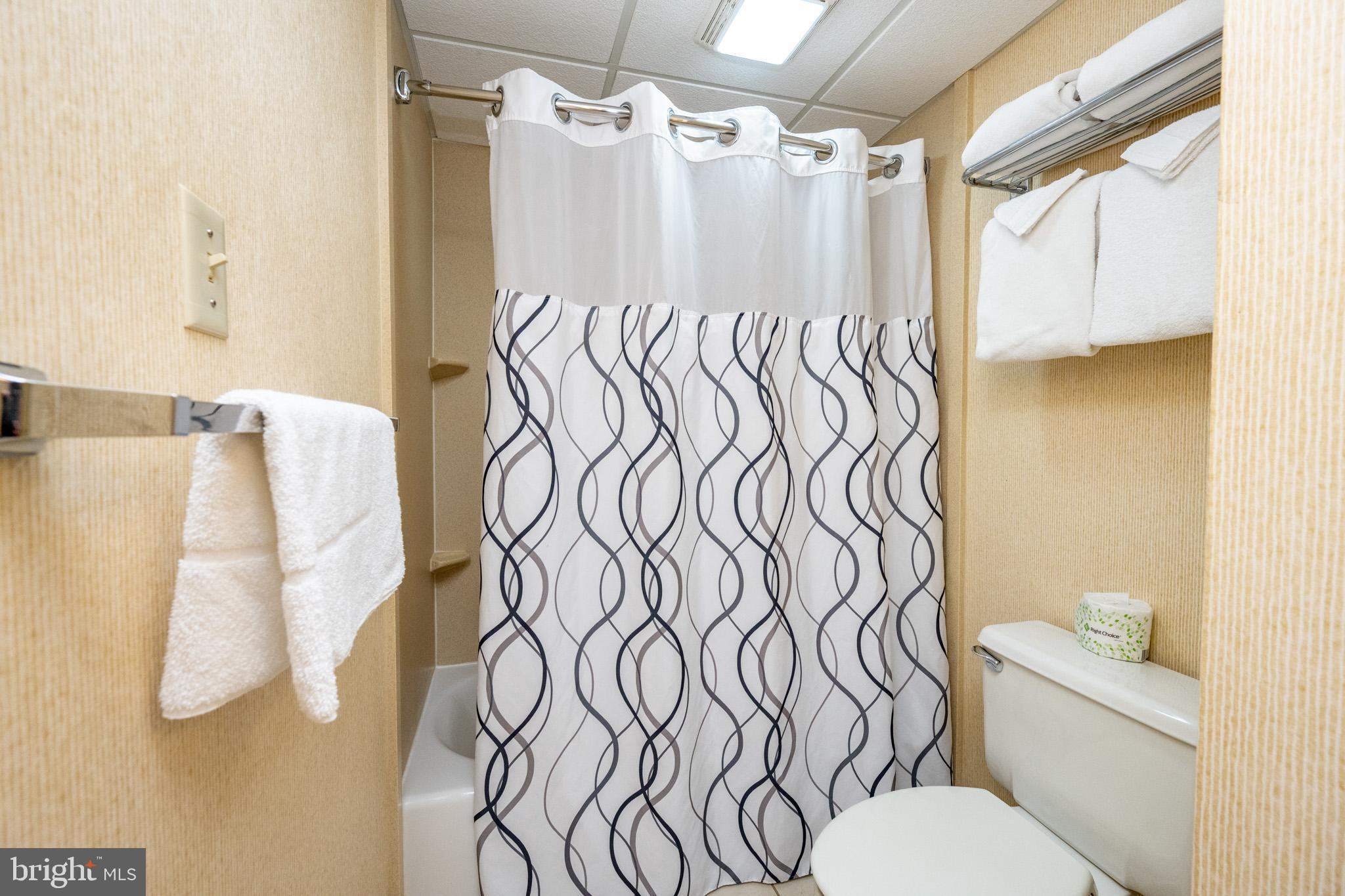 290 Marsh Hill Road, Unit 702K McHenry, MD 21541 - Photo 18 of 45 a bathroom with a bathtub and shower curtain