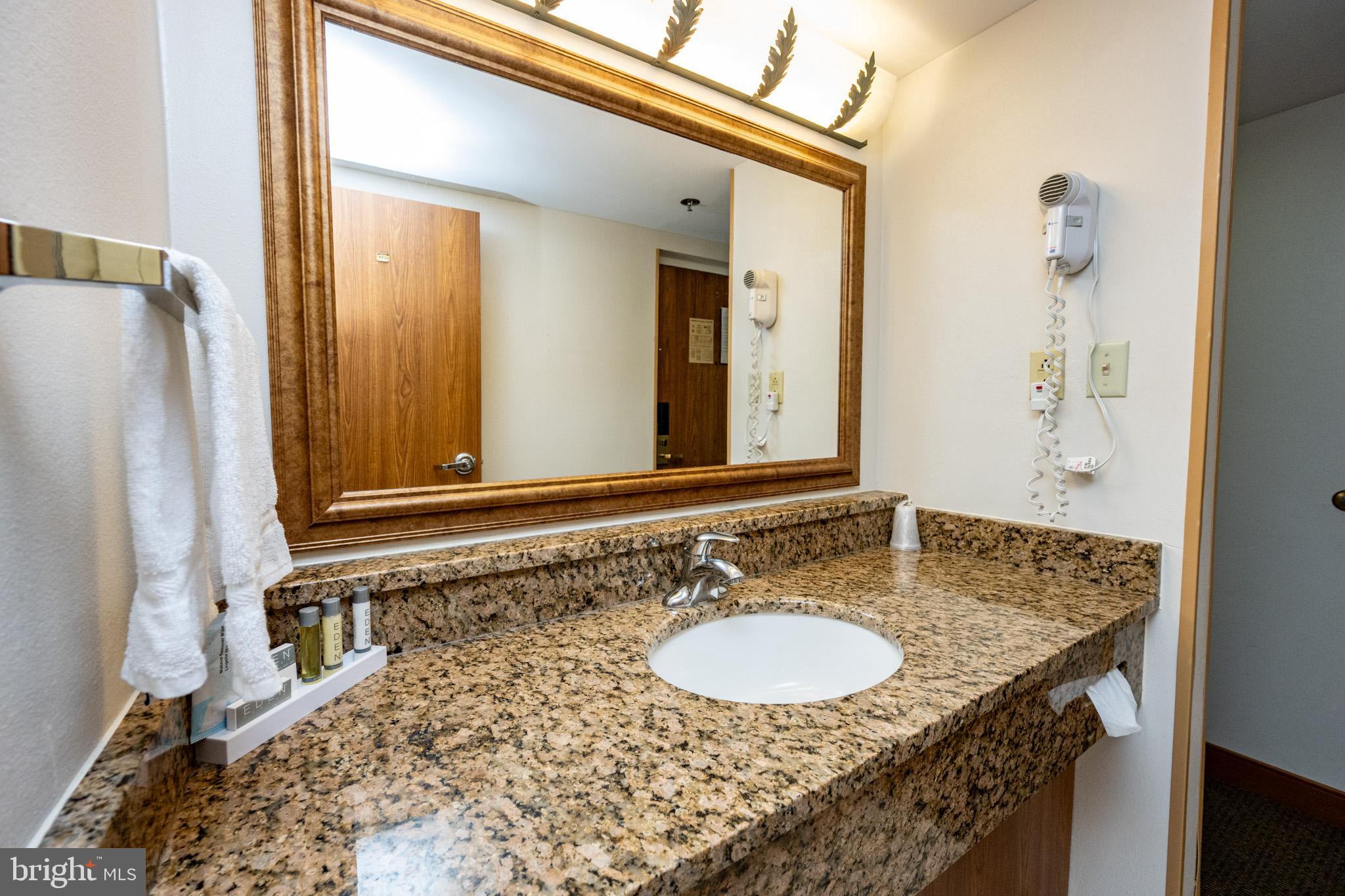 290 Marsh Hill Road, Unit 702K McHenry, MD 21541 - Photo 19 of 45 a bathroom with a sink and a mirror