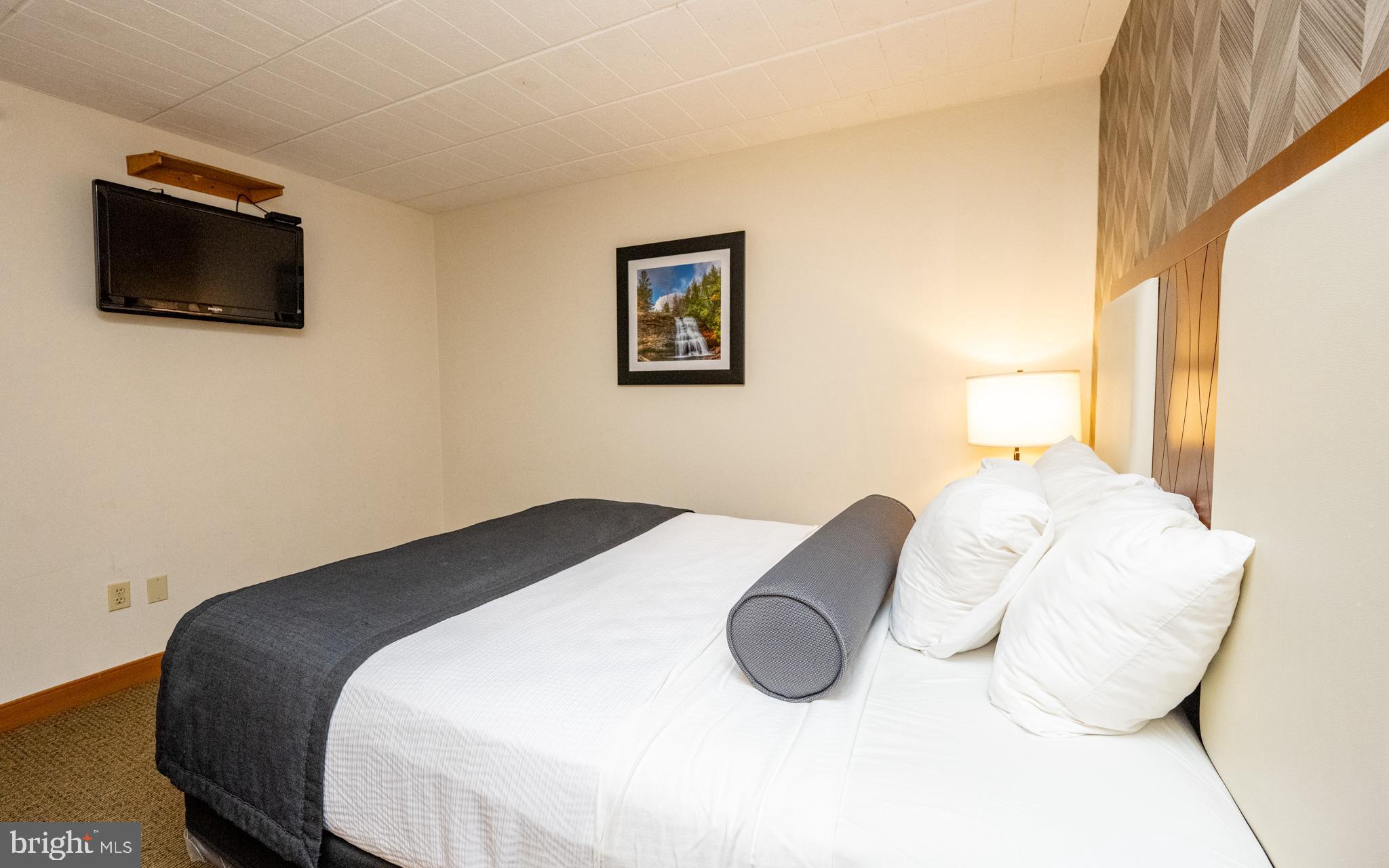 290 Marsh Hill Road, Unit 702K McHenry, MD 21541 - Photo 3 of 45 a bedroom with a bed and a flat screen tv