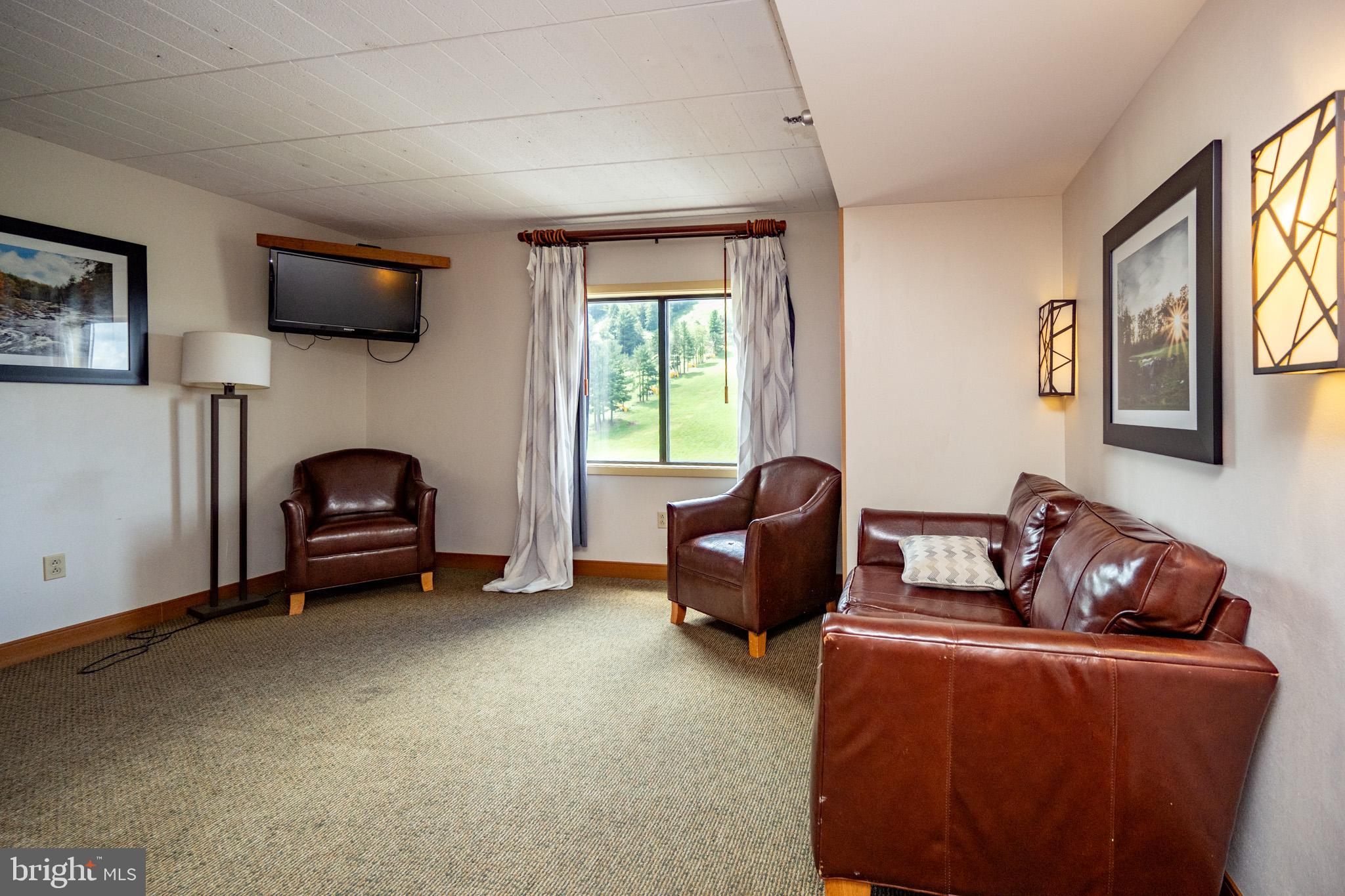 290 Marsh Hill Road, Unit 702K McHenry, MD 21541 - Photo 6 of 45 a living room with furniture a flat screen tv and a window