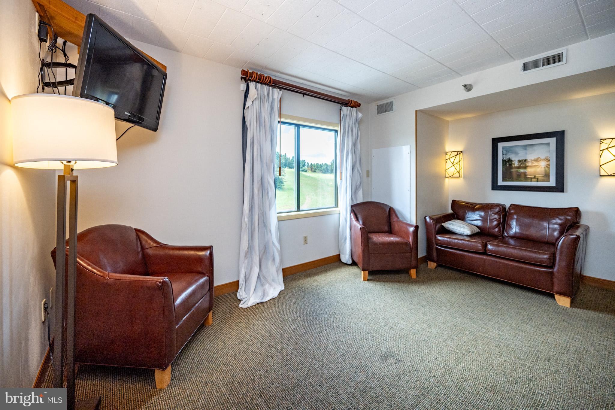 290 Marsh Hill Road, Unit 702K McHenry, MD 21541 - Photo 10 of 45 a living room with furniture and a lamp