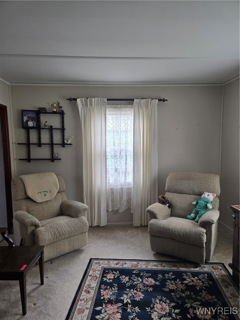 29 Lee Street Cheektowaga, NY 14043 - Photo 9 of 21