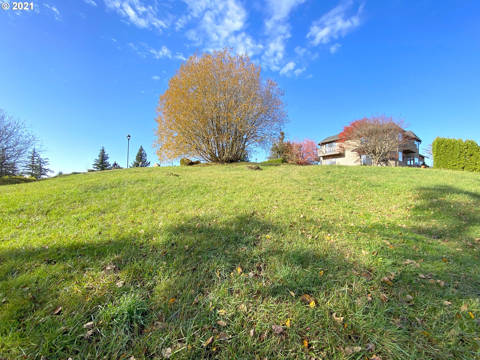 Nansen Summit Lake Oswego, OR 97035 - Photo 13 of 21 a view of a backyard