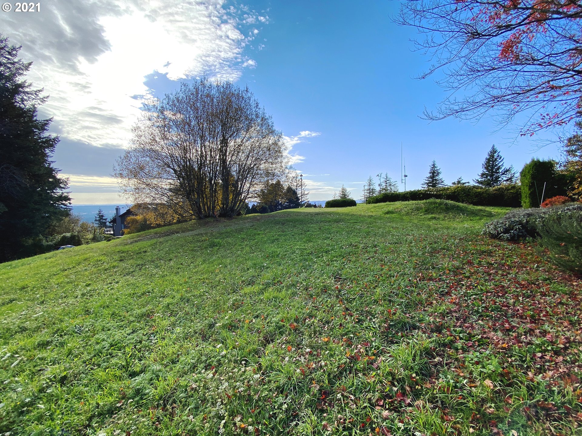 Nansen Summit Lake Oswego, OR 97035 - Photo 19 of 21 a view of a field of grass and trees