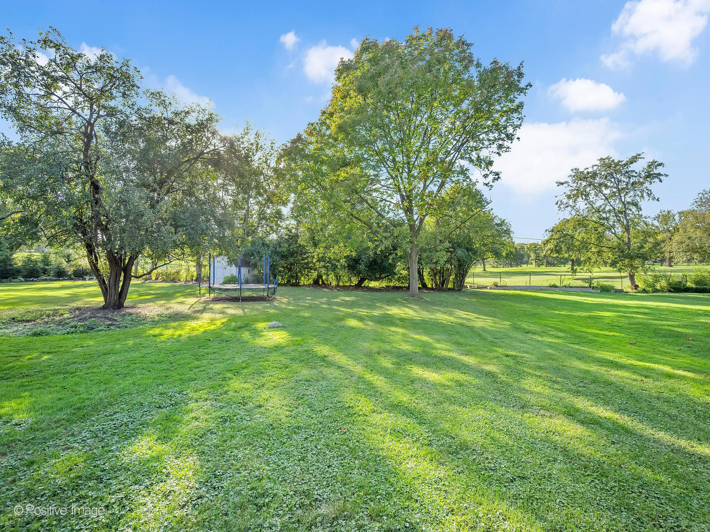 232 Middaugh Road Clarendon Hills, IL 60514 - Photo 24 of 24 a view of green field