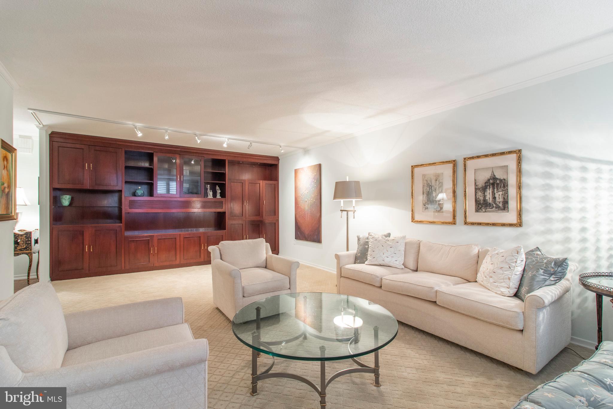 8302 Old York Road, Unit B33 Elkins Park, PA 19027 - Photo 4 of 34 Built in Cabinets in Living Room