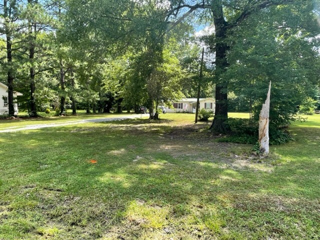 175 Malkowski Road Clarksville, TN 37043 - Photo 2 of 7 Gallery Image 2
