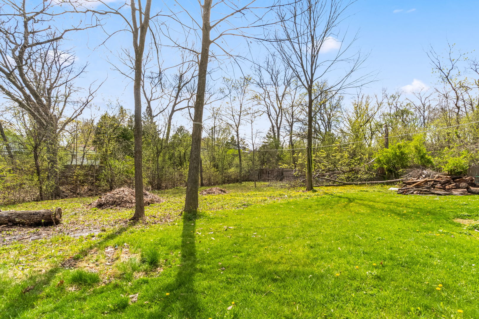 219 East Sheridan Road Lake Bluff, IL 60044 - Photo 26 of 28 a view of yard with tree