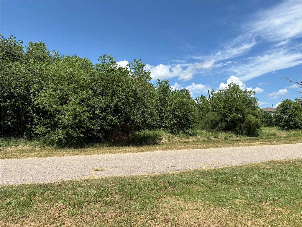 5555 Jean Lafitte Boulevard Lafitte, LA 70067 - Photo 2 of 8