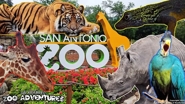 $1,700 | 115 Milton Street, Unit 101, San Antonio, TX 78209