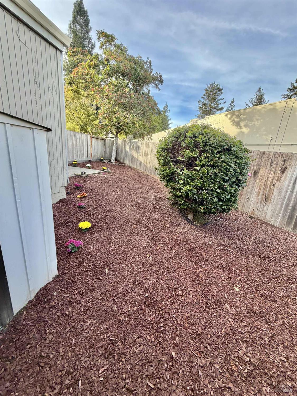 7086 Fircrest Avenue Sebastopol, CA 95472 - Photo 26 of 62 a view of a backyard with a garden and plants