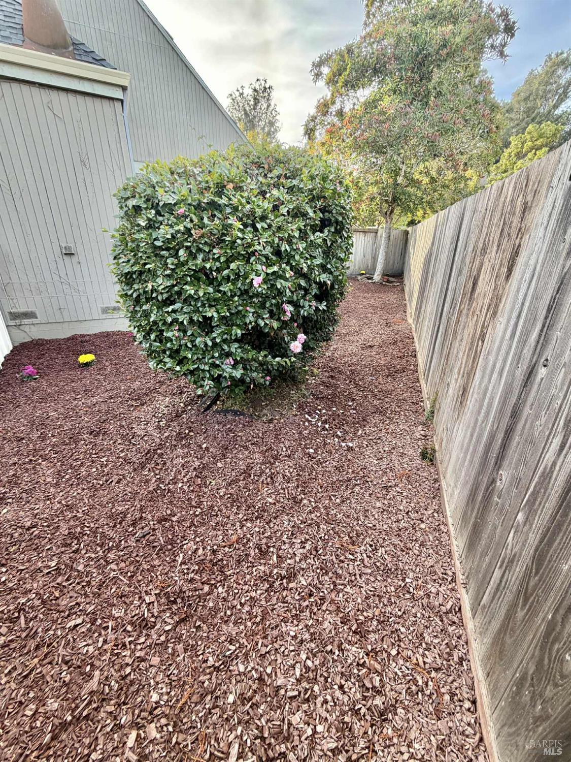 7086 Fircrest Avenue Sebastopol, CA 95472 - Photo 28 of 62 a view of a garden with pathway
