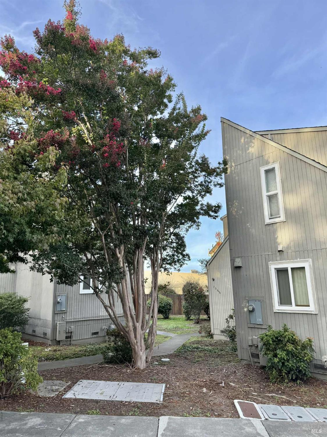 7086 Fircrest Avenue Sebastopol, CA 95472 - Photo 52 of 62 a front view of a house with trees