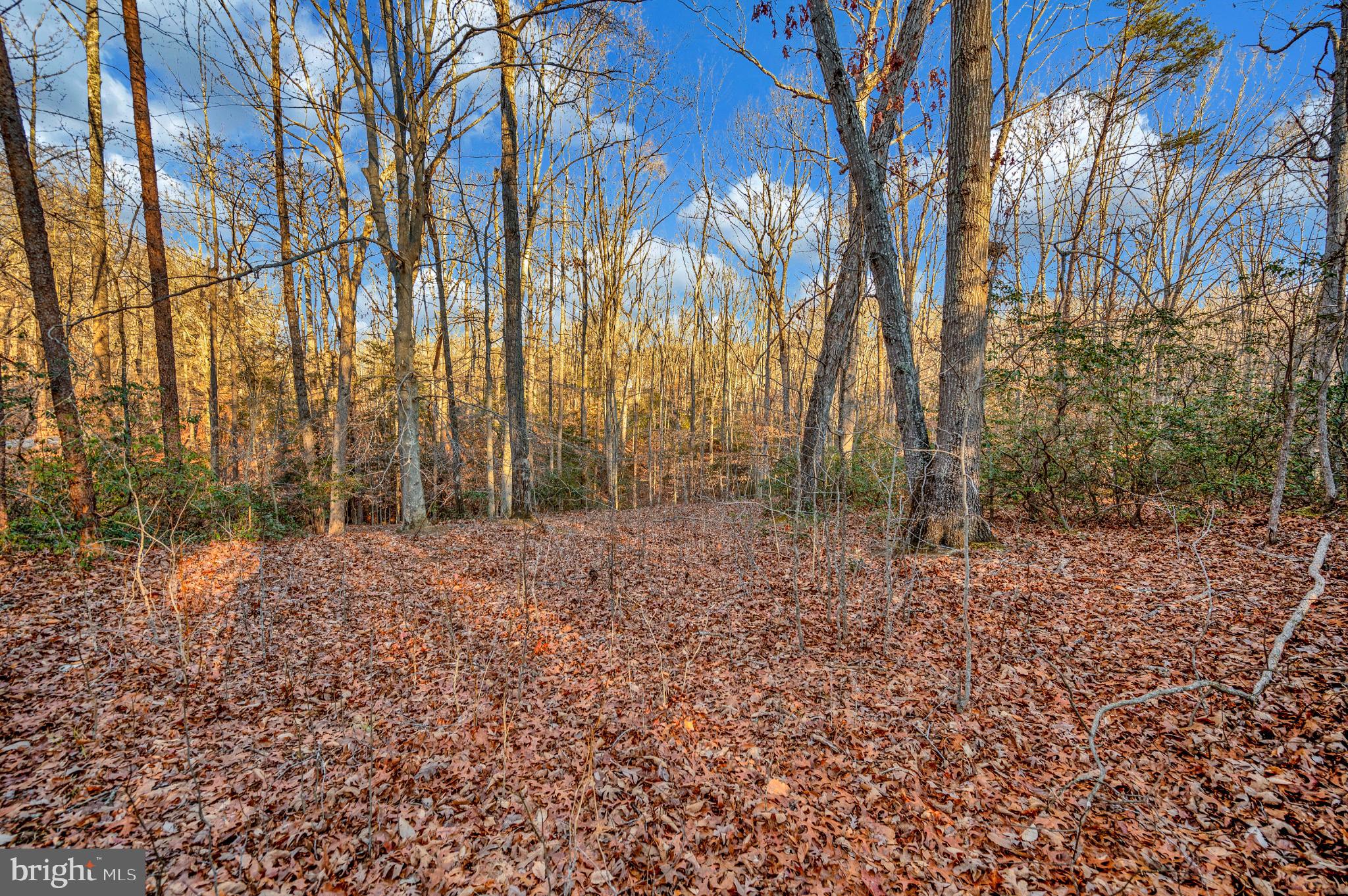93 Dent Road Stafford, VA 22554 - Photo 11 of 21 View.