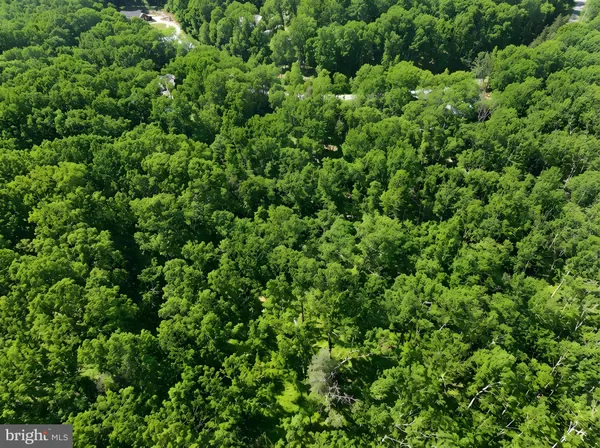 a view of a yard with trees