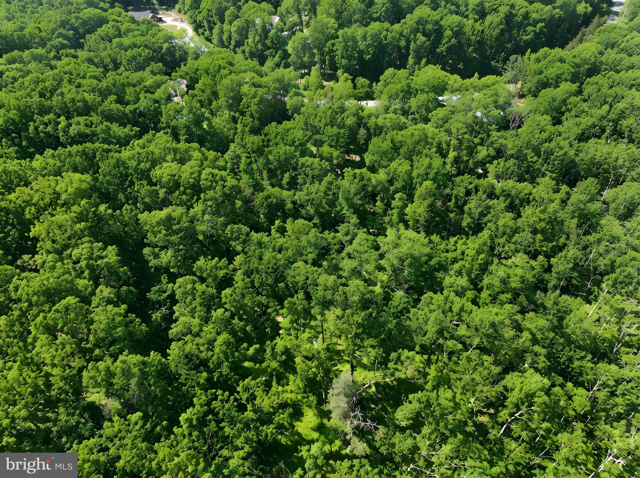 93 Dent Road Stafford, VA 22554 - Photo 17 of 21 View