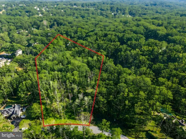 a view of a covered with trees