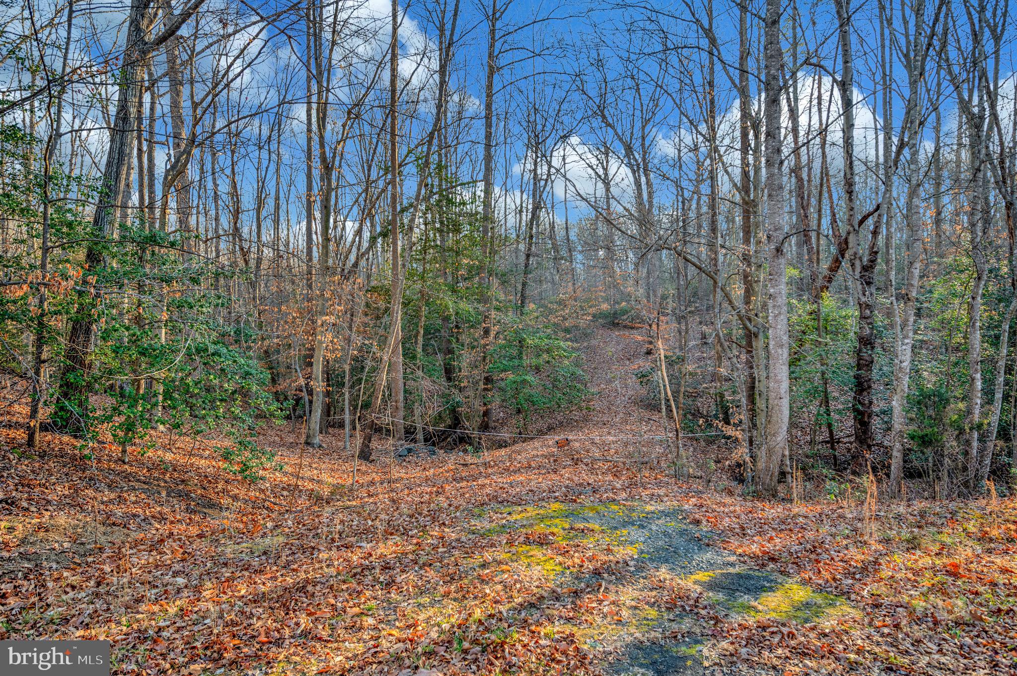 93 Dent Road Stafford, VA 22554 - Photo 3 of 21 Serene woodland path through autumn leaves.