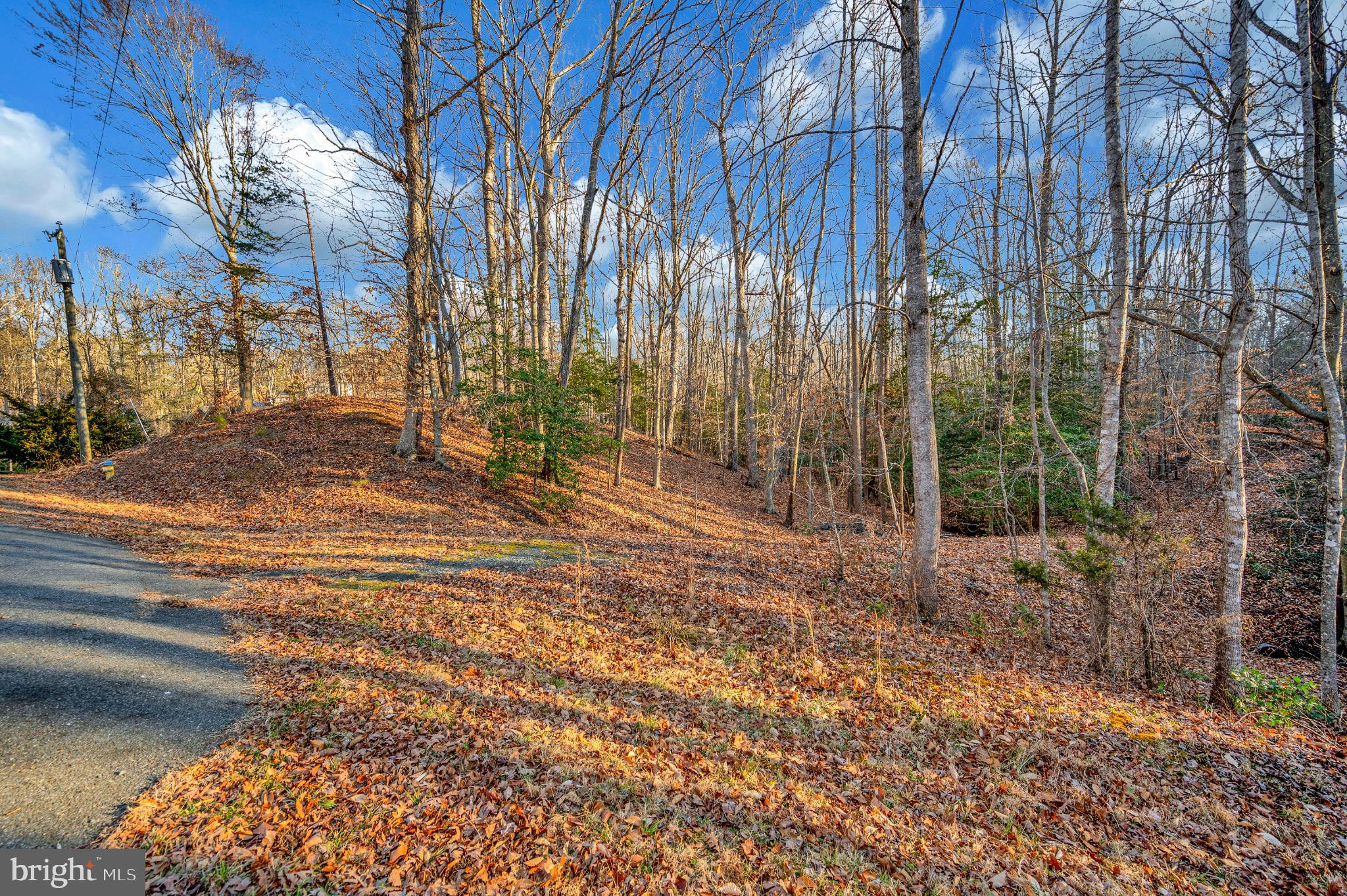 93 Dent Road Stafford, VA 22554 - Photo 6 of 21 Survey & soil work completed, public water hookup