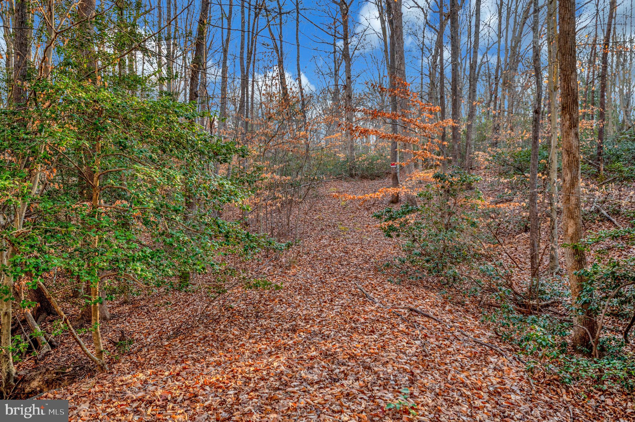93 Dent Road Stafford, VA 22554 - Photo 8 of 21 Listing documents contains detailed info!