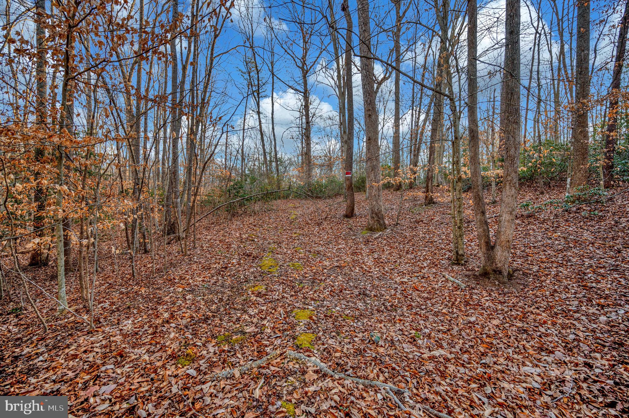 93 Dent Road Stafford, VA 22554 - Photo 9 of 21 View