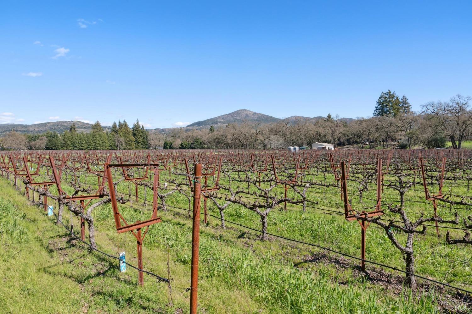 1180 Monticello Road Napa, CA 94558 - Photo 51 of 68