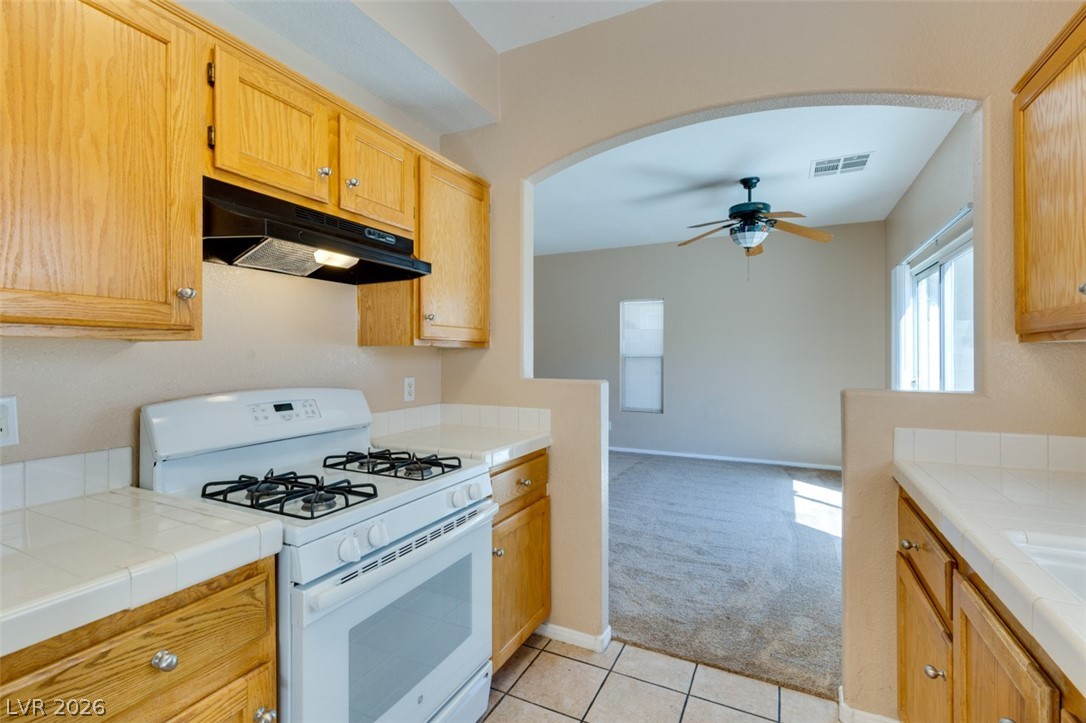 1401 Sycamore Spring Court Las Vegas, NV 89128 - Photo 19 of 31